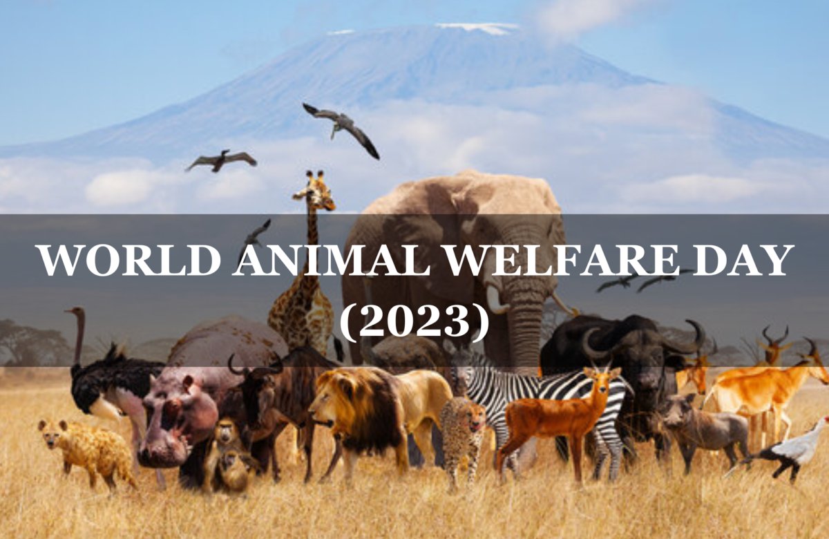 World Animal Welfare Day (2023)