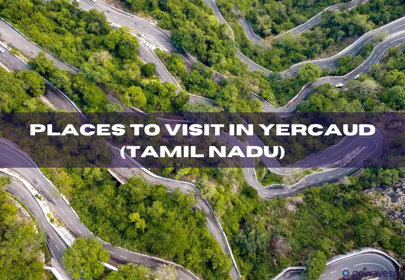  Places To Visit In Yercaud (Tamil Nadu)