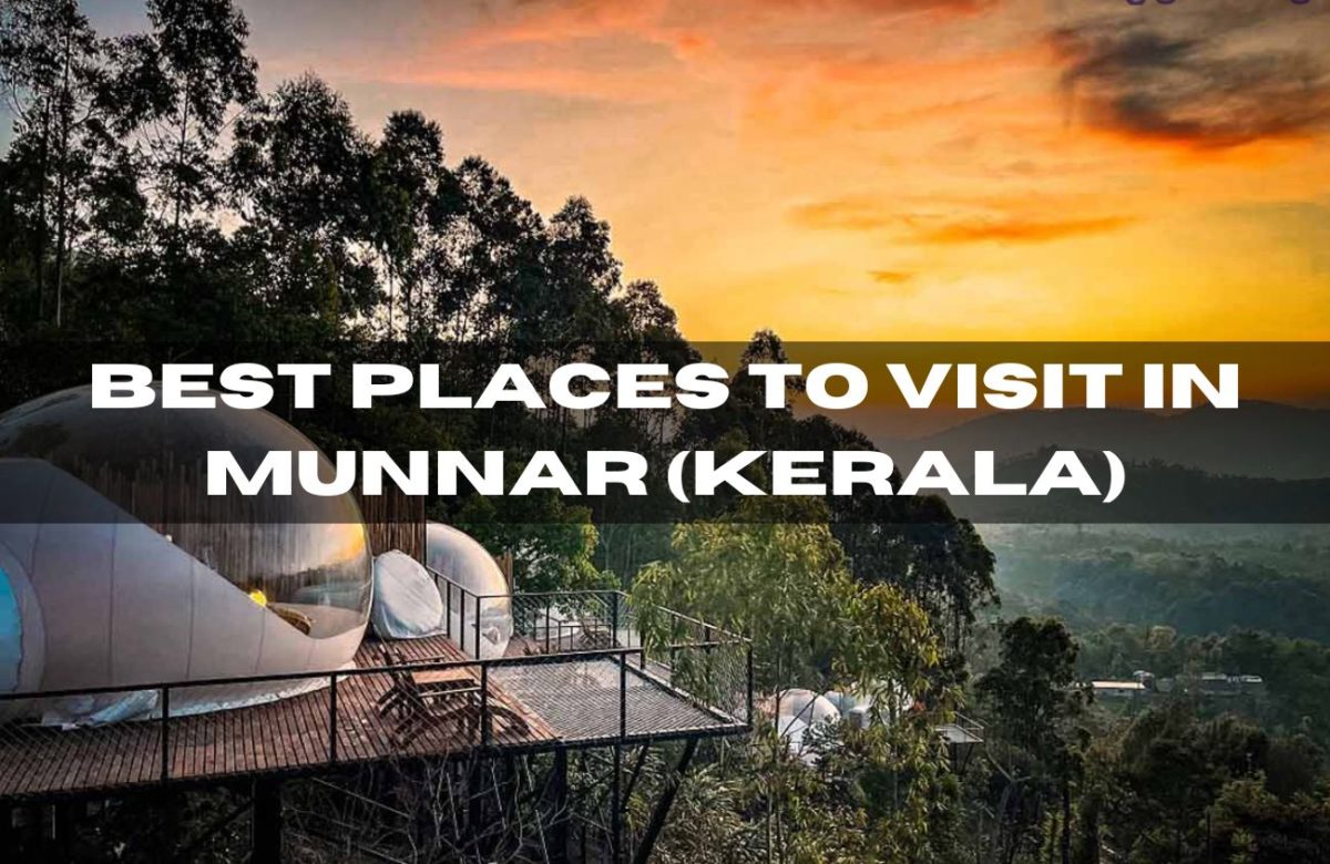 Best Places to Visit in Munnar (Kerala)