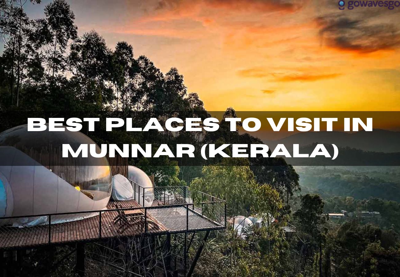  Best Places to Visit in Munnar (Kerala)