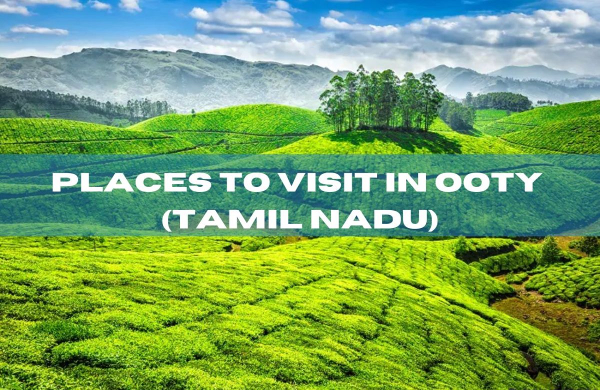 Places To Visit In Ooty (Tamil Nadu)