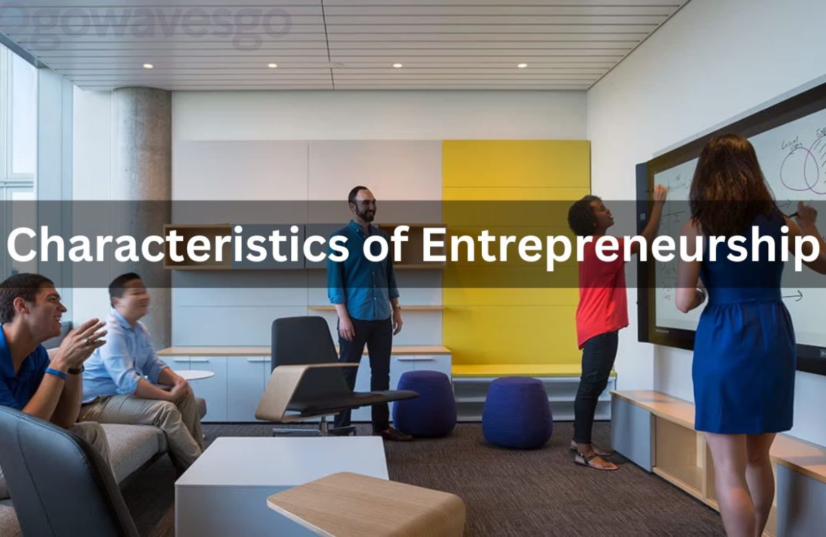 Characteristics of Entrepreneurship, What Is Continuous Learning In Entrepreneurship?