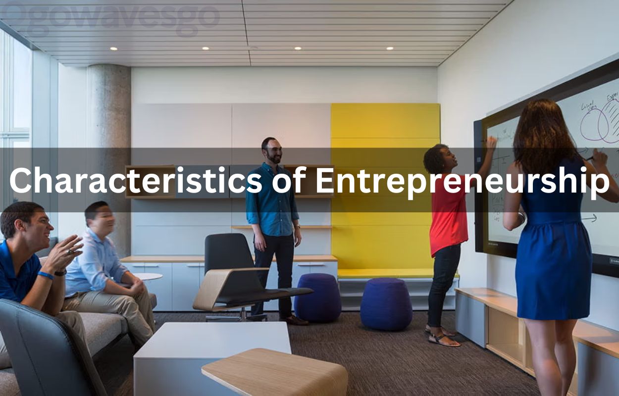  Characteristics of Entrepreneurship, What Is Continuous Learning In Entrepreneurship?