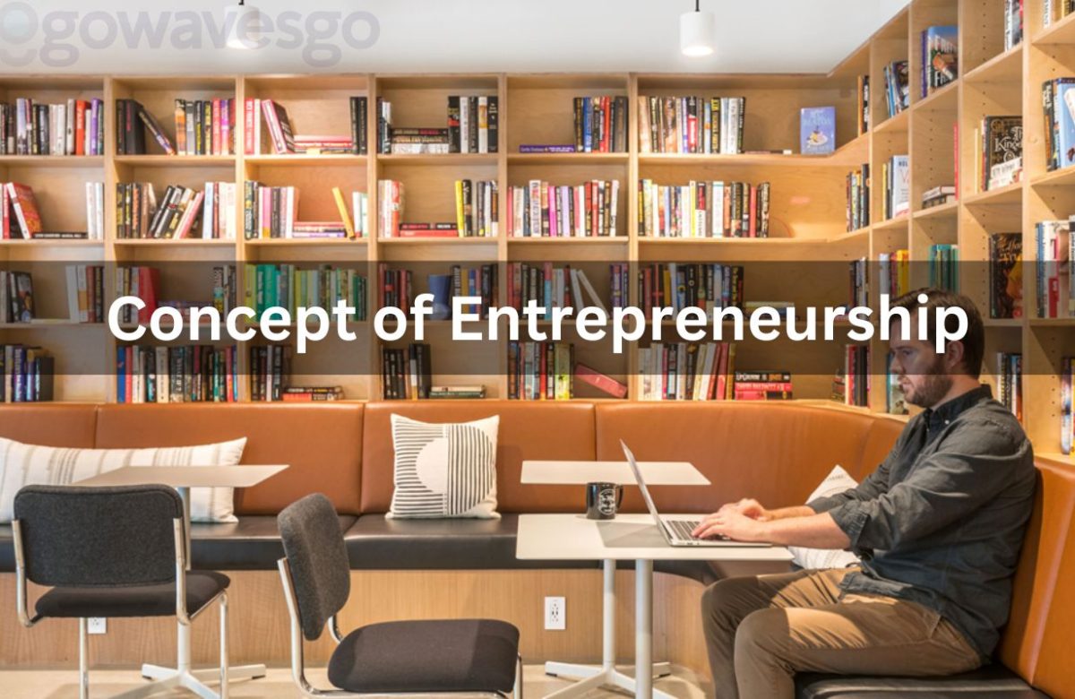 Concept of Entrepreneurship, What Is Risk-taking In Entrepreneurship?