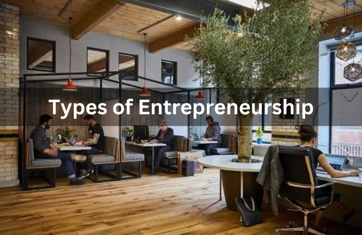 Types of Entrepreneurship, What Is Small Business Entrepreneurship?