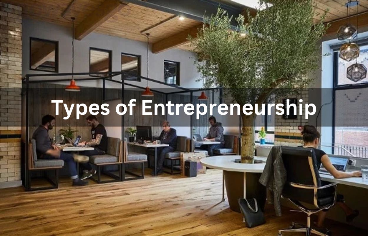  Types of Entrepreneurship, What Is Small Business Entrepreneurship?