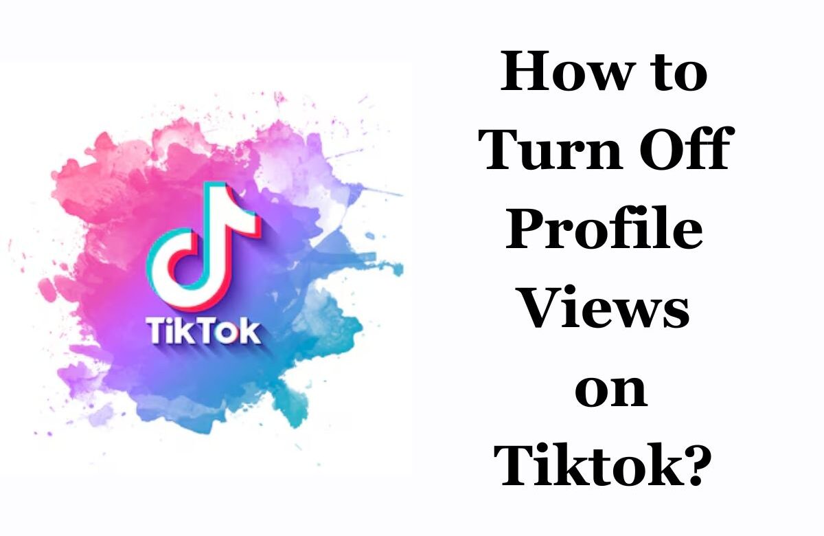 How to Turn Off Profile Views on Tiktok? What are Profile Views on TikTok?