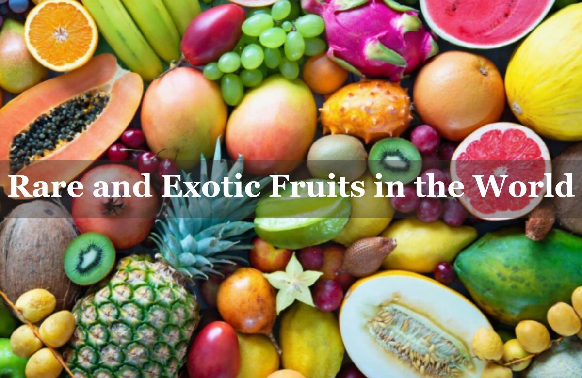 25 Most Rare and Exotic Fruits in the World