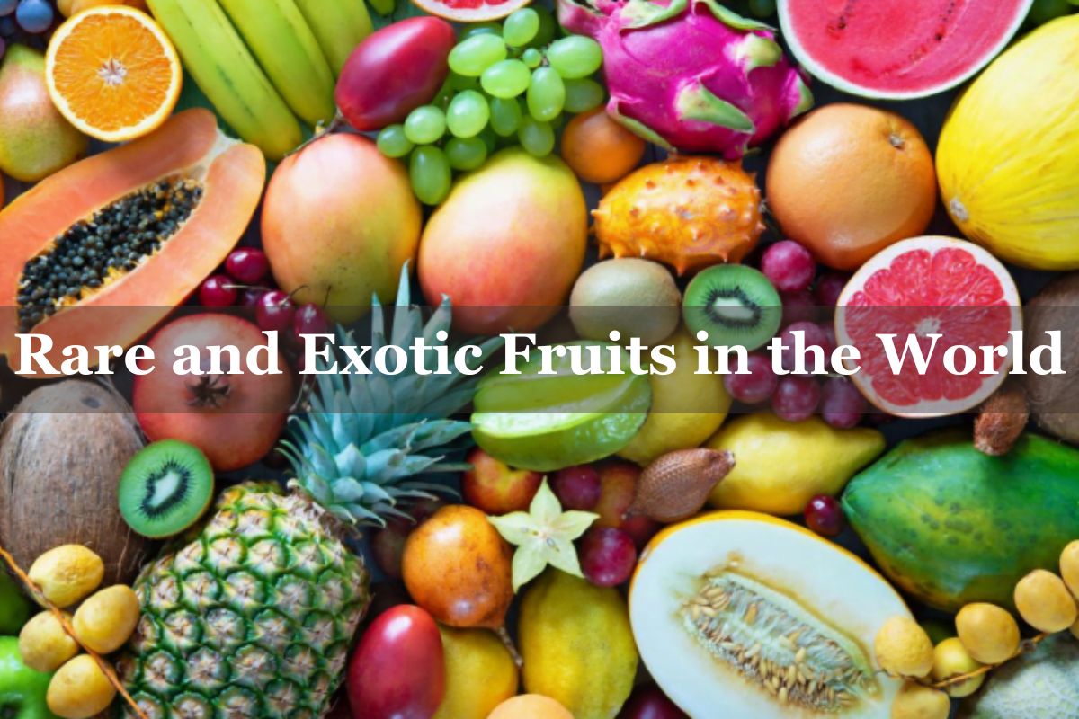  25 Most Rare and Exotic Fruits in the World