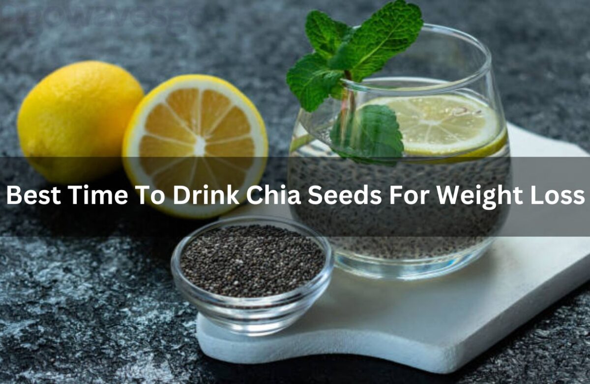 Best Time To Drink Chia Seeds For Weight Loss, How To use Chia seeds to lose  belly fat?