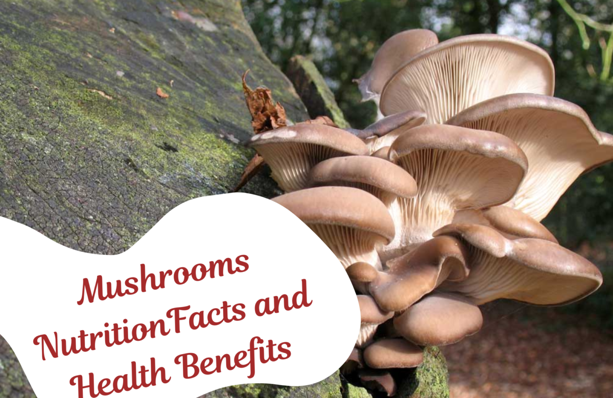 Mushrooms Nutrition Facts and Health Benefits