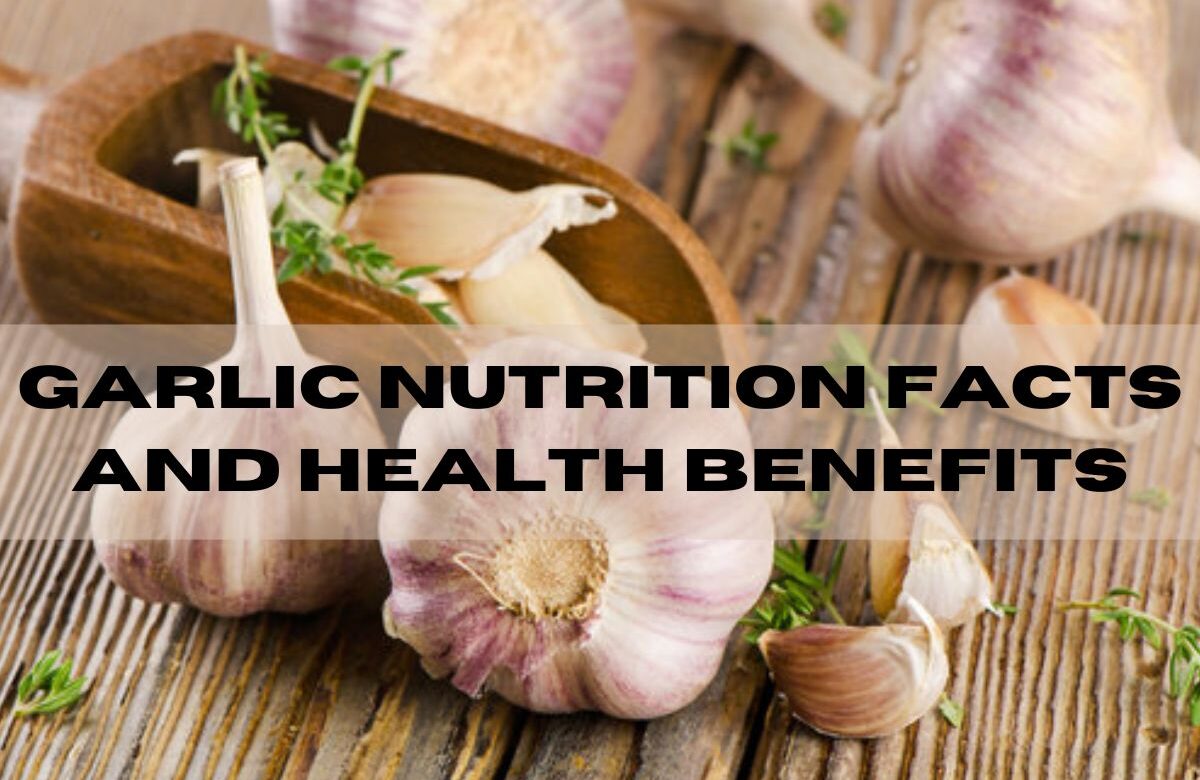 Garlic Nutrition Facts and Health Benefits