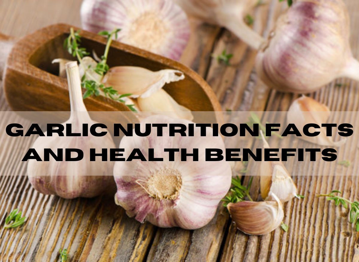  Garlic Nutrition Facts and Health Benefits