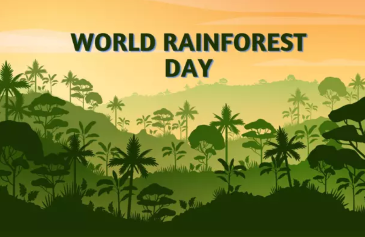 World Rainforest Day 2024: Date, Theme, History and Significance