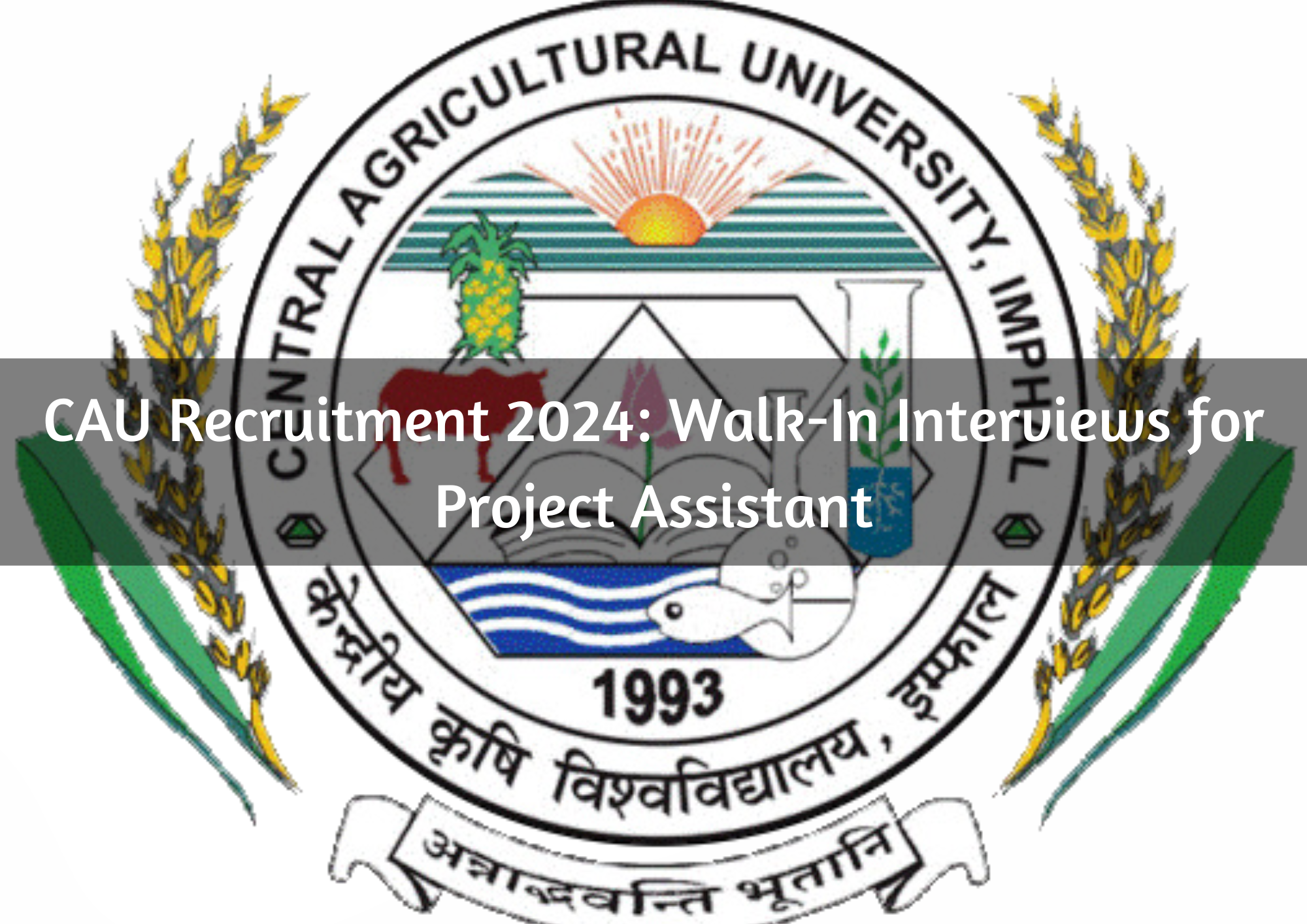  CAU Recruitment 2024: Walk-In Interviews for Project Assistant