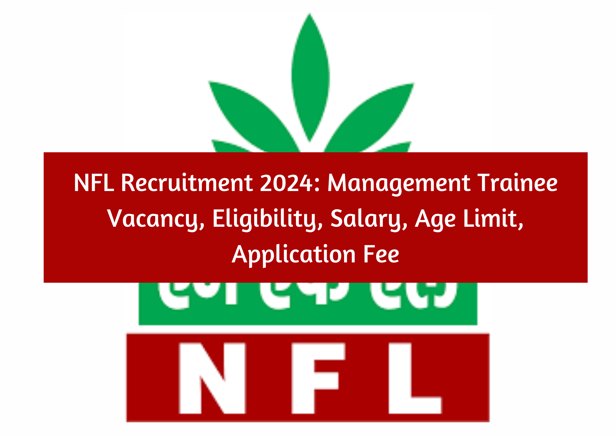  NFL Recruitment 2024: Management Trainee Vacancy, Eligibility, Salary, Age Limit, Application Fee