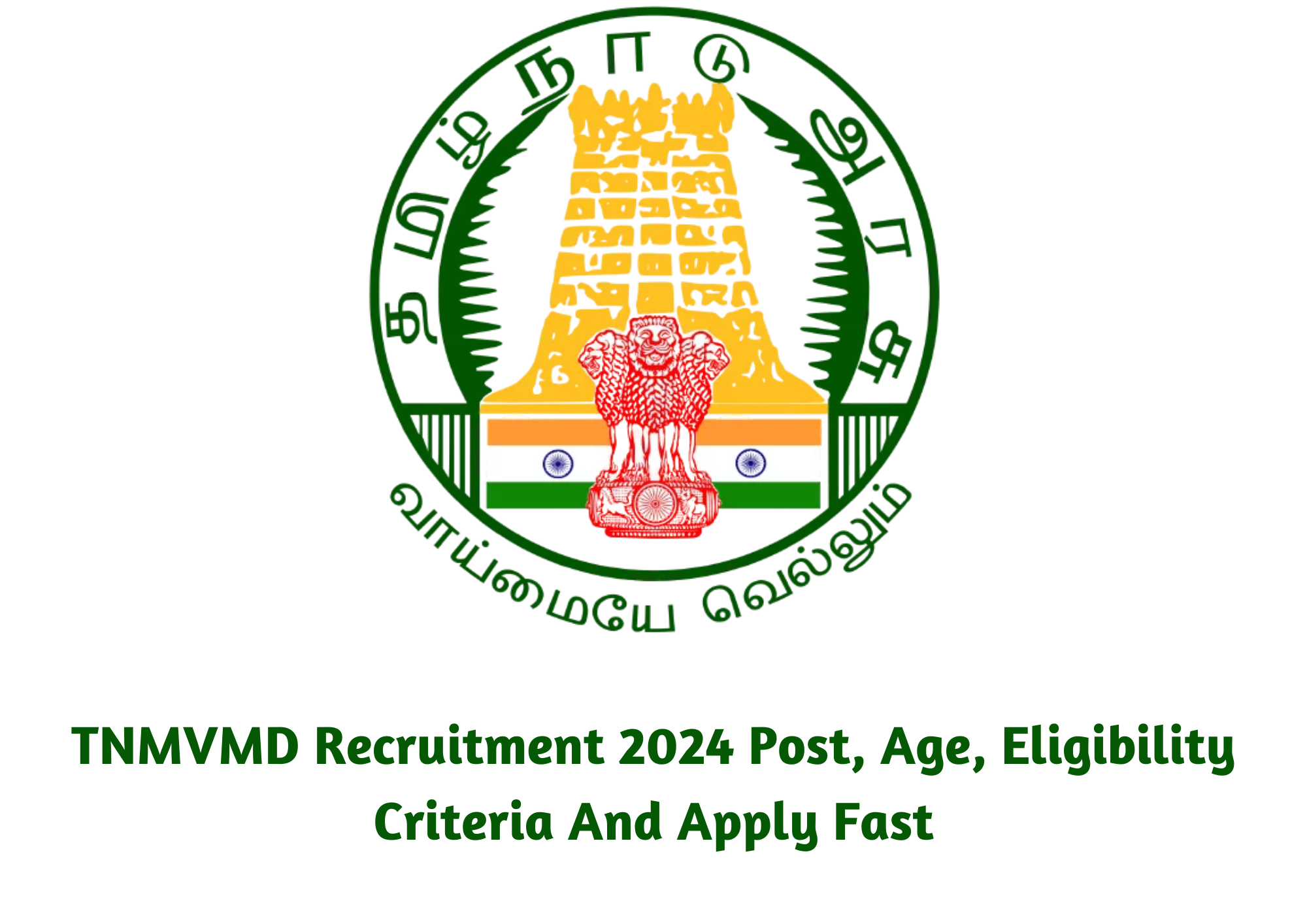  TNMVMD Recruitment 2024 Post, Age, Eligibility Criteria And Apply Fast