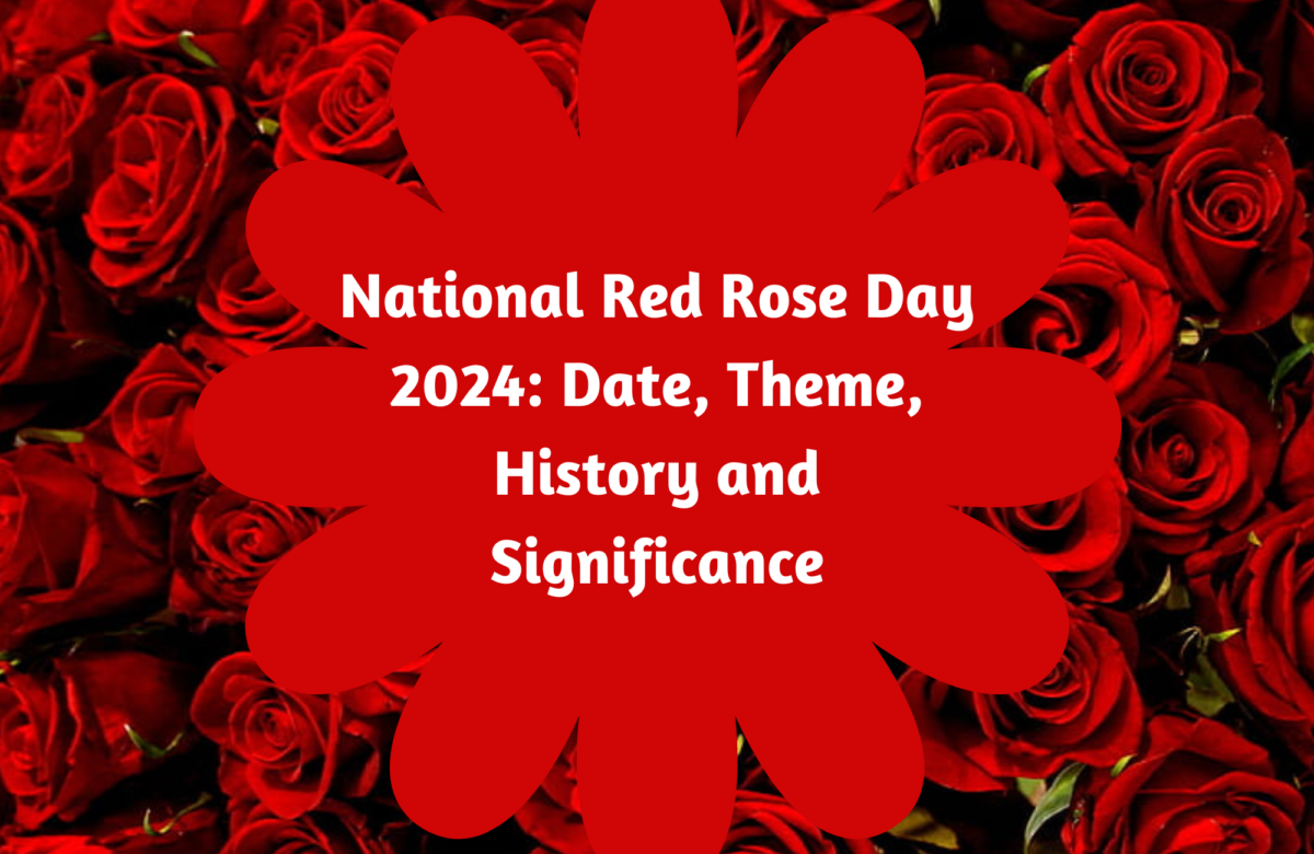 National Red Rose Day 2024: Date, Theme, History and Significance