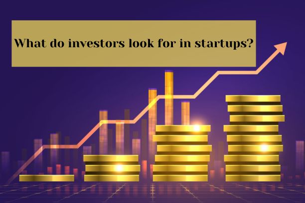  What do investors look for in startups?