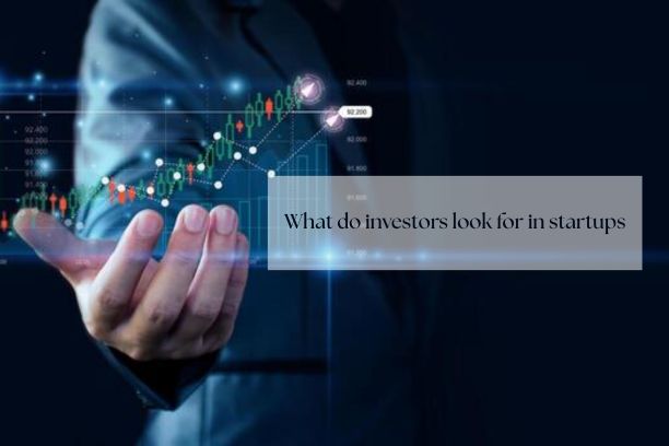  What do investors look for in startups? 