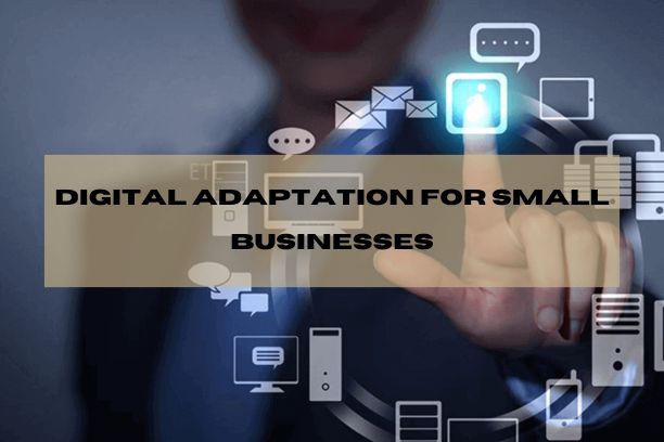 Digital adaptation for small businesses